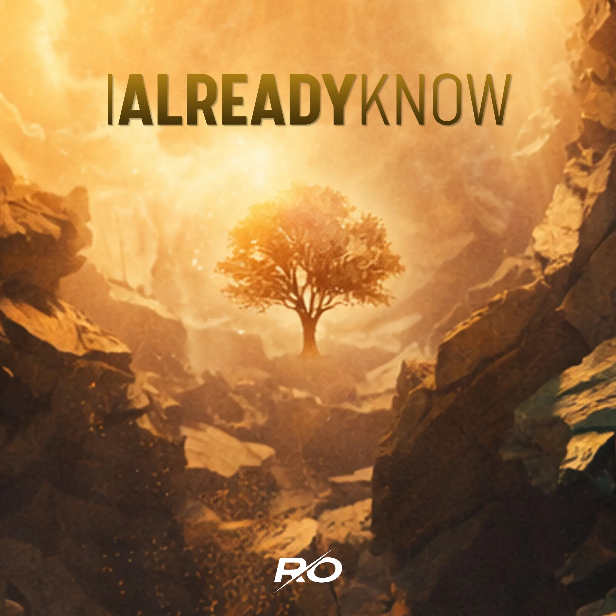 I Already Know – RO